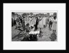 The March on Washington: At Washington Monument Grounds, 28th August 1963 by Nat Herz