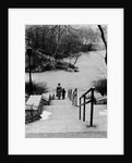 Central Park in Winter, c.1953-64 by Nat Herz