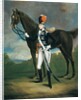 Unidentified officer of the 7th Regiment of Light Dragoons, 1793 by Richard Arnold