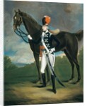 Unidentified officer of the 7th Regiment of Light Dragoons, 1793 by Richard Arnold
