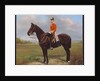 Major George Froom, 2nd Battalion, The Connaught Rangers, c.1881 by English School