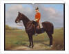 Major George Froom, 2nd Battalion, The Connaught Rangers, c.1881 by English School