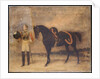 An unidentified officer, 2nd Regiment of Life Guards, c.1832 by English School