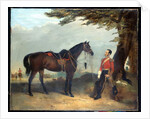 An unidentified officer of the 3rd Regiment of the Dragoon Guards, c.1850 by English School
