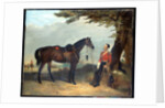 An unidentified officer of the 3rd Regiment of the Dragoon Guards, c.1850 by English School