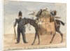 My packhorse, the black slave, loaded for the march, c.1854 by William Thomas Markham