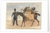 My packhorse, the black slave, loaded for the march, c.1854 by William Thomas Markham