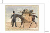 My packhorse, the black slave, loaded for the march, c.1854 by William Thomas Markham