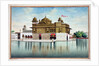 The Golden Temple at Amritsar by Indian School