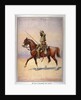 Soldier of the 31st Duke of Connaught's Own Lancer, Daffadar, Dekhani Mahratta by Alfred Crowdy Lovett