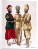 Soldiers of the 43rd Erinpura Regiment, the 44th Merwara Infantry and the 108th Infantry by Alfred Crowdy Lovett