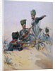 Soldiers of the 125th Napier's Rifles by Alfred Crowdy Lovett