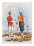 Infantry, West India Regiment, 1876 by Richard Simkin