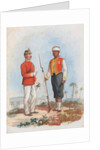 Infantry, West India Regiment, 1876 by Richard Simkin