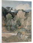Devil's Elbow, Rokeby Park, c.1806-7 by John Sell Cotman