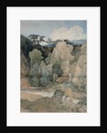 Devil's Elbow, Rokeby Park, c.1806-7 by John Sell Cotman