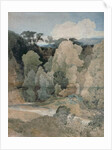 Devil's Elbow, Rokeby Park, c.1806-7 by John Sell Cotman