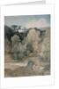 Devil's Elbow, Rokeby Park, c.1806-7 by John Sell Cotman
