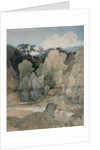 Devil's Elbow, Rokeby Park, c.1806-7 by John Sell Cotman