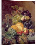 Fruit, 1872 by Eloise Harriet Stannard