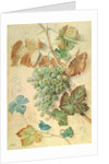 White Grapes by James Sillett