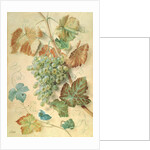 White Grapes by James Sillett