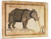 Rhinoceros, drawn and wrote by William Twiddy who never had the use of hands or feet by William Twiddy