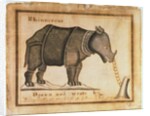 Rhinoceros, drawn and wrote by William Twiddy who never had the use of hands or feet by William Twiddy