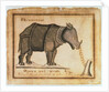 Rhinoceros, drawn and wrote by William Twiddy who never had the use of hands or feet by William Twiddy