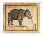 Rhinoceros, drawn and wrote by William Twiddy who never had the use of hands or feet by William Twiddy