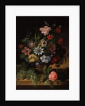 Flowers and Fruit, 1827 by James Sillett