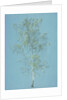 Birch tree by William Turner