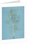 Birch tree by William Turner