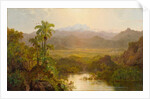 Landscape in Ecuador, 1859 by Louis Remy Mignot