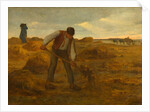 Peasant Spreading Manure, 1854-1855 by Jean Francois I Millet