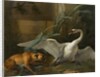 Swan Attacked by a Dog, 1745 by Jean-Baptiste Oudry
