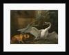 Swan Attacked by a Dog, 1745 by Jean-Baptiste Oudry