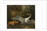 Swan Attacked by a Dog, 1745 by Jean-Baptiste Oudry