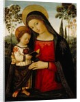 Madonna and Child, c.1490-1495 by Bernardino di Betto Pinturicchio