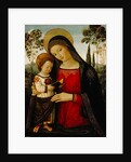 Madonna and Child, c.1490-1495 by Bernardino di Betto Pinturicchio