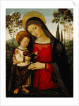 Madonna and Child, c.1490-1495 by Bernardino di Betto Pinturicchio