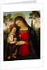 Madonna and Child, c.1490-1495 by Bernardino di Betto Pinturicchio