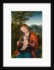 Madonna and Child in a Landscape, c.1518 by Lucas the Elder Cranach