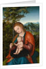 Madonna and Child in a Landscape, c.1518 by Lucas the Elder Cranach