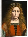 Portrait of a Young Girl Crowned with Flowers, c.1490 by Giovanni Antonio Boltraffio