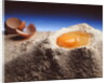 Egg & Flour, 1994 by Norman Hollands