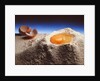 Egg & Flour, 1994 by Norman Hollands