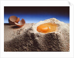 Egg & Flour, 1994 by Norman Hollands