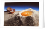 Egg & Flour, 1994 by Norman Hollands
