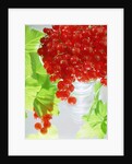 Redcurrants & leaves, 1996 by Norman Hollands